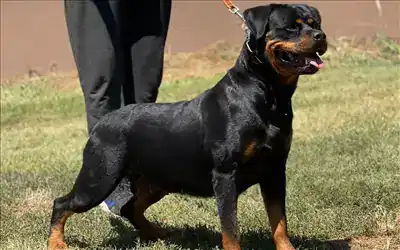 Hay Hause Of İstanbul