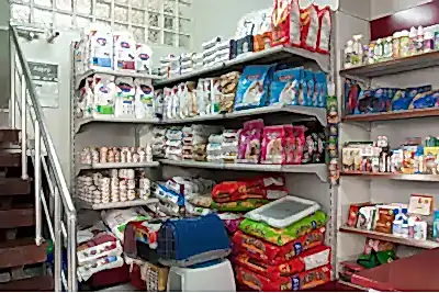 Pet Shop